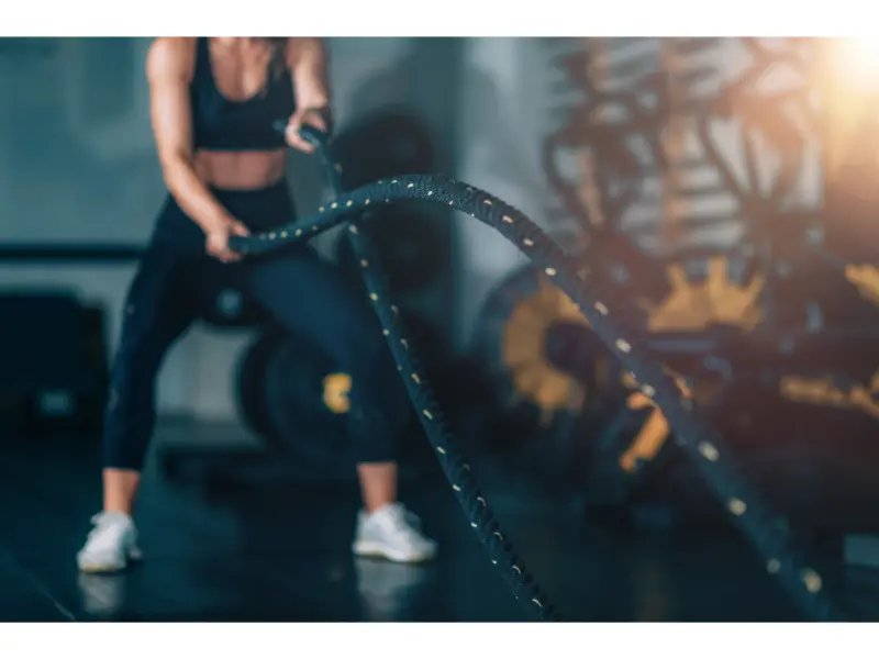 Ezegym AI - Manage Your Gym and Fitness Business with the Online Gym and Fitness Management Software